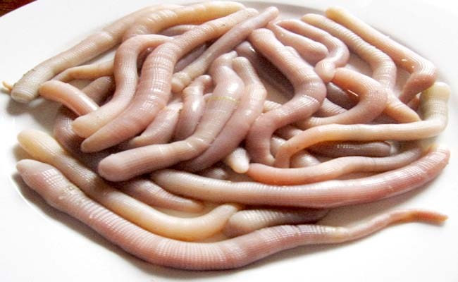 Sau khi đánh bắt, sá sùng được rửa sạch cát, lộn ruột và đem đi chế biến, có thể sấy khô hoặc nấu tươi.