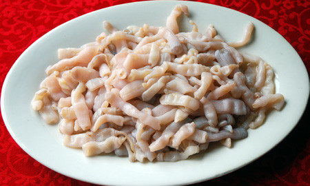 Khi bị bắt lên khỏi mặt biển, chúng thu mình lại tròn như một quả bóng, để lộ cái miệng bé như lỗ van bơm hơi. Loài này được khai thác từ tháng 3 đến tháng 7 hàng năm.