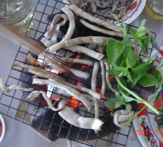 Ngày nay, sá sùng có trong thực đơn các nhà hàng hải sản, đặc biệt là món nướng. Sá sùng nướng, ăn chấm muối ớt vắt chanh, cũng có thể ướp muối ớt rồi nướng.