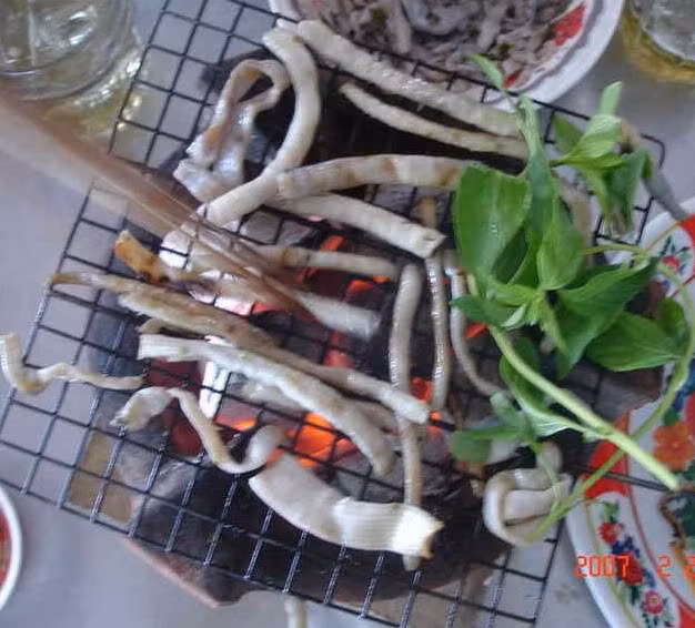 Ngày nay, sá sùng có trong thực đơn các nhà hàng hải sản, đặc biệt là món nướng. Sá sùng nướng, ăn chấm muối ớt vắt chanh, cũng có thể ướp muối ớt rồi nướng.