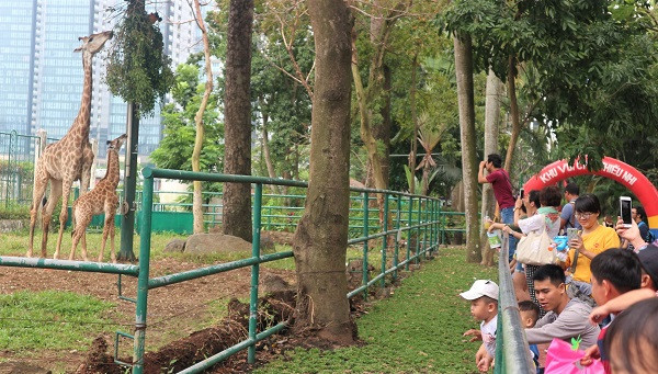 Lan dau huou cao co sinh con thanh cong tai Thao cam vien SG-Hinh-3