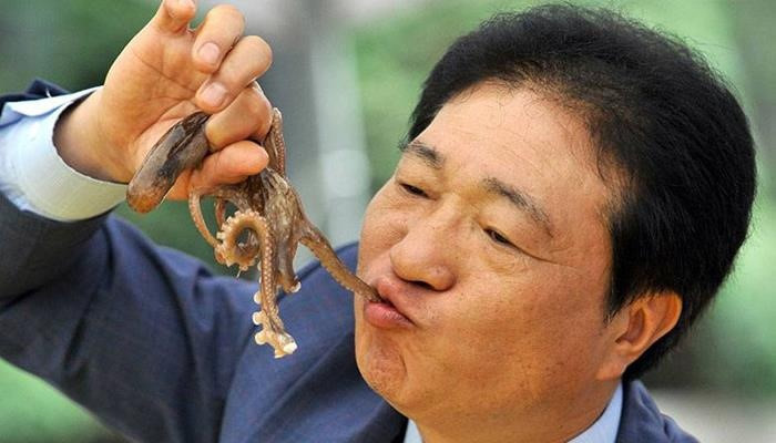 Không chỉ kinh dị về phần nhìn, cả việc ăn Sannakji cũng khiến nhiều người sợ vì các xúc tu của bạch tuộc có thể bám vào cổ họng gây tắc thở cho thực khách.