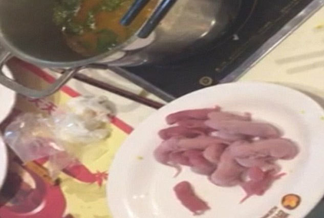 Tuy nhiên, thời gian gần đây, nhiều chuyên gia cũng đã lên tiếng khuyến cáo và cho rằng ăn chuột bao tử có thể sẽ tiềm ẩn nguy cơ mắc các bệnh mà chuột đêm đến cho con người như: dịch hạch, sốt vàng và nhiều căn bệnh khác. Chính vì thế, món ăn đã được hạn chế và không còn phổ biến như trước. Ảnh: Internet.