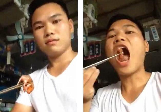 Chứng kiến cảnh ăn tươi sống những con chuột đỏ hỏn vẫn còn cử động cho đến khi chết đau đớn ngay trong miệng thực khách, nhiều người không khỏi rùng mình, run rẩy, thậm chí là khóc thét.