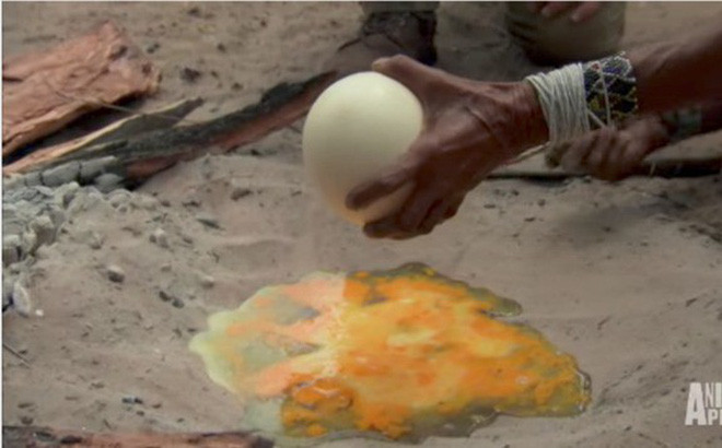 Trứng đà điểu chiên trên cát nóng: Ở một số nơi vùng nông thôn Nam Phi người ta chiên luôn trứng trên lớp cát nóng với lớp củi lửa đốt xung quanh. Món này thường được dùng với bơ, muối, tiêu và mùi tây.