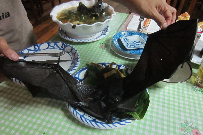 Nếu bạn đủ can đảm để ăn thịt dơi sống, người ta sẽ chế biến nó ngay trước mắt bạn, bao gồm cả các khâu dã man như cắt tiết, lột da.