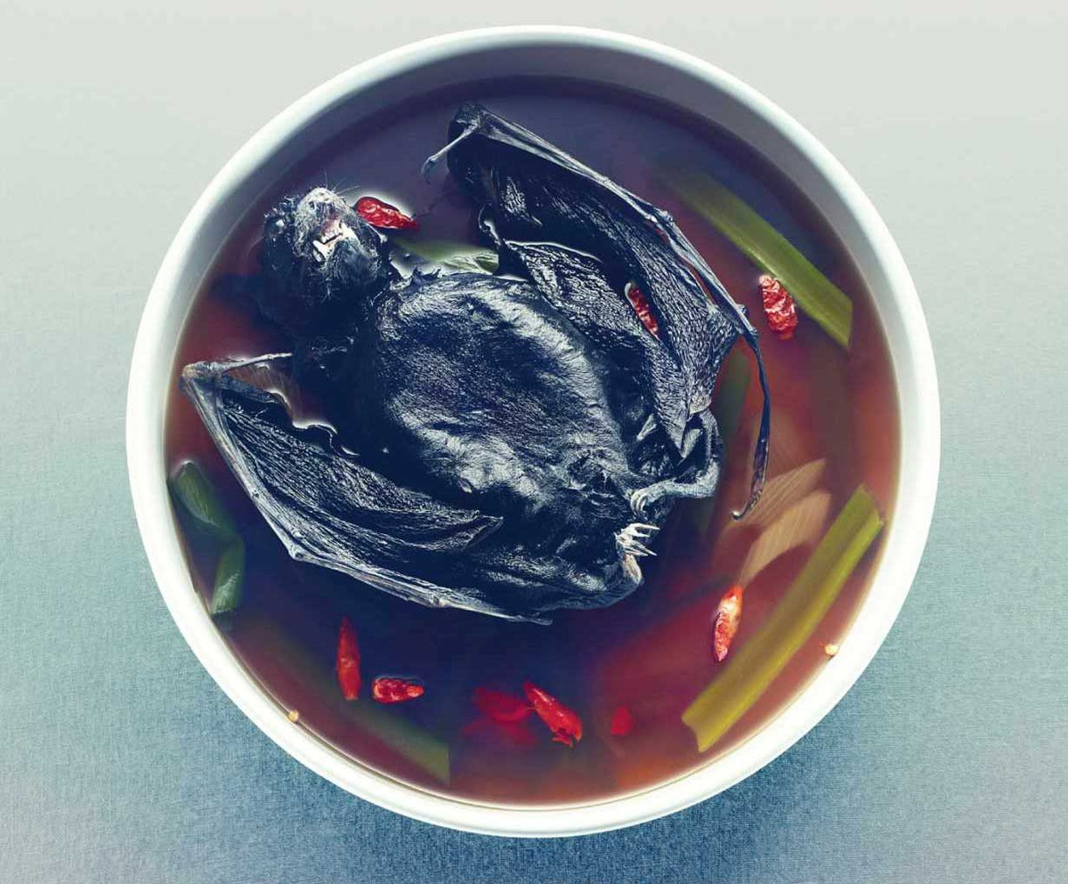 Còn nếu bạn muốn chế biến chín, người ta sẽ đưa con dơi tội nghiệp ra sau bếp, nơi mà nó sẽ được nấu thành súp hay các món ăn khác.