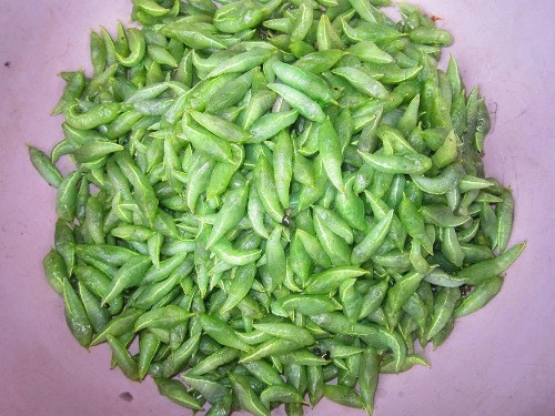 Không chỉ đơn thuần là món ăn ngon, bổ dưỡng, nhộng sâu muồng còn đem lại một khoản thu nhập kha khá cho nhiều hộ gia đình tại các địa phương của tỉnh Đắk Lắk bằng việc bắt nhộng sâu bán lại cho các tiểu thương ở chợ và sau đó được bỏ mối cho các nhà hàng, quán nhậu.