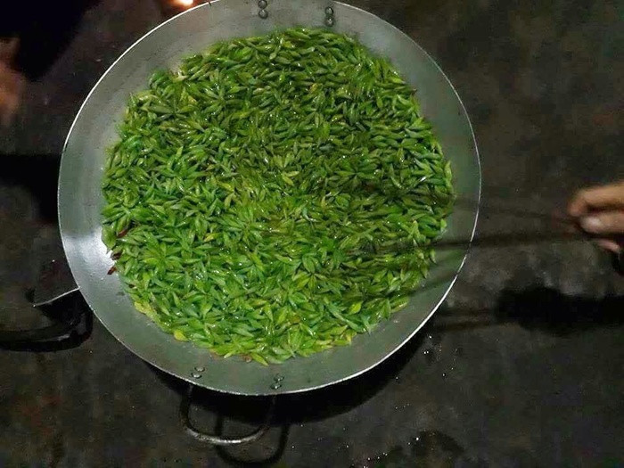 Ngược lại, với dân làm nương rẫy ở Tây Nguyên thì họ chẳng còn xa lạ gì với cảnh tượng này. Bởi thế, cứ đến mùa, người dân lại tìm bắt nhộng sâu về chế biến thành nhiều món ăn khác nhau.