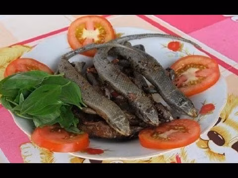 Rắn mối mang về được đem cạo sạch vảy, chặt bỏ đầu, chân, bỏ ruột. Lưu ý, bằng mọi giá phải giữ lại chiếc đuôi của loài bò sát này vì đây mới là phần bổ nhất. Ảnh: YouTube.