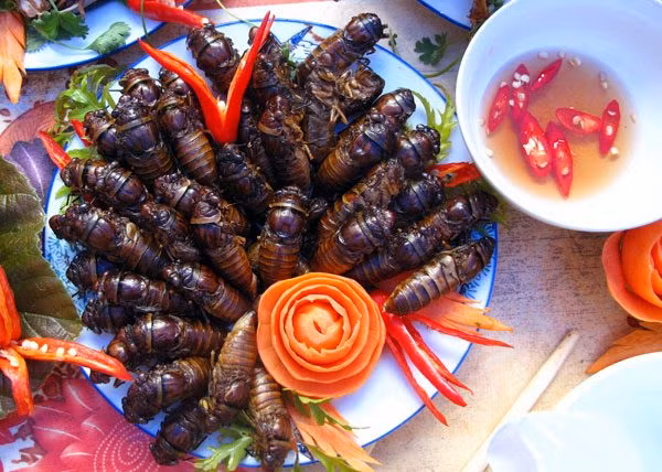 Ve sầu rán: Thoạt trông món ăn có vẻ sẽ khiến cho vài người cảm thấy hơi ghê sợ. Thế nhưng người Thái rất ưa chuộng và có cách chế biến riêng rất hấp dẫn. Những chú ve sầu mập ú sau khi cắt bỏ cánh và rút ruột thì được nhét một hạt đậu phộng vào bên trong bụng, sau đó tẩm ướp gia vị rồi đem chiên giòn.