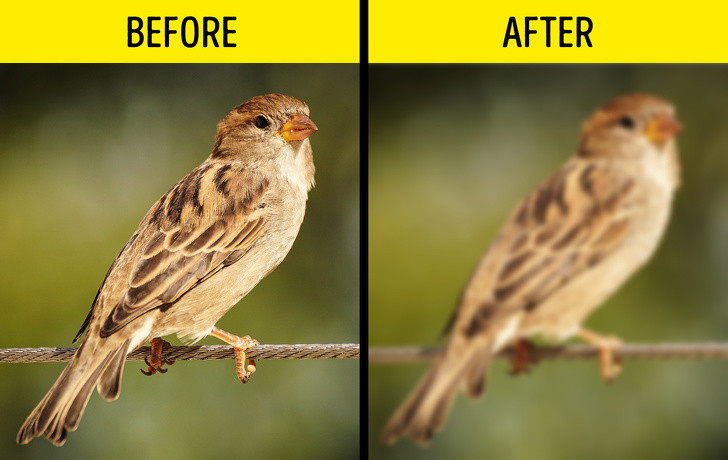 Nhìn mờ: Đột quỵ gây nên tình trạng nhìn mờ ở cả 2 mắt hoặc mất thị lực 1 bên mắt. Người bệnh cần chú ý nếu thấy mắt nhìn mờ thì nên nói ngay với người thân để được đưa đến cơ sở y tế kịp thời.