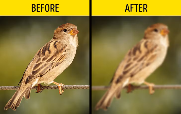 Nhìn mờ: Đột quỵ gây nên tình trạng nhìn mờ ở cả 2 mắt hoặc mất thị lực 1 bên mắt. Người bệnh cần chú ý nếu thấy mắt nhìn mờ thì nên nói ngay với người thân để được đưa đến cơ sở y tế kịp thời.