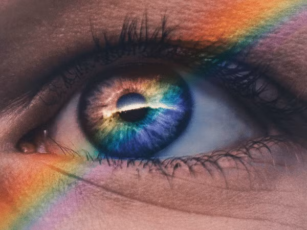 Khoảng 80% những gì chúng ta cảm nhận được đều thông qua thị lực. Nếu bảo vệ đôi mắt, bạn sẽ làm giảm khả năng bị mù lòa và mất thị lực, đồng thời ngăn các bệnh về mắt như tăng nhãn áp và đục thủy tinh thể.