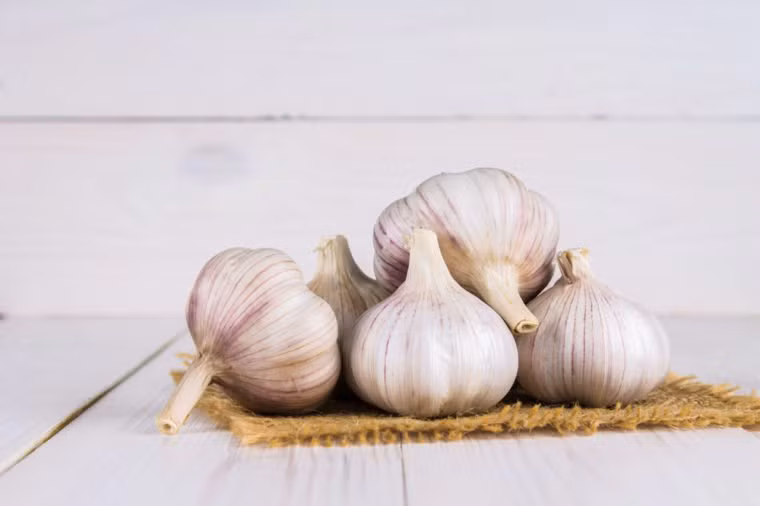 Tỏi giúp ngăn ngừa cảm lạnh khi ăn thường xuyên, do hợp chất tăng cường miễn dịch allicin của nó. Hãy ăn nhiều tỏi hơn khi bạn bị cảm lạnh. 
