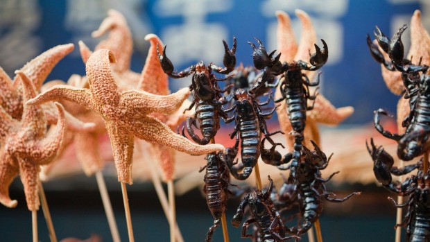 Món sao biển chiên thường được bày chung với nhiều loại côn trùng chiên khác.