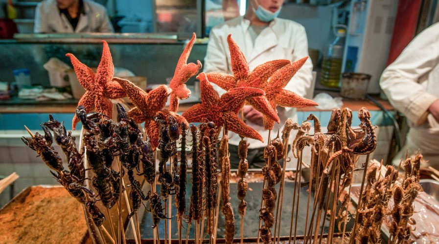 Ngoài sao biển, Trung Quốc còn là thiên đường của các loại đặc sản côn trùng như rết, bò cạp, sâu...