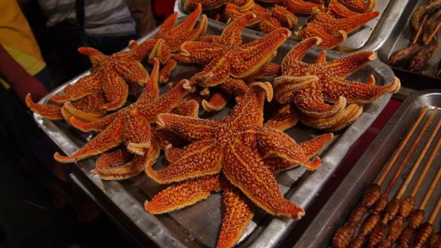 Ở những thành phố ven biển của Trung Quốc như Thanh Đảo, sao biển lại trở thành một món ăn được người dân rất ưa chuộng.