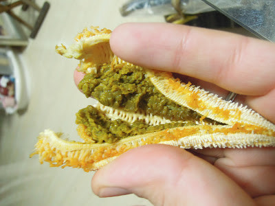 Những con sao biển được phơi khô, lớp vỏ sần sùi bén nhọn như một chiếc áo giáp, chúng có thể được chiên hoặc nướng. Muốn ăn được con sao biển, bạn cần có thủ thuật riêng.