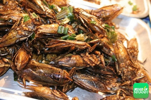 Trong trăm loại món ăn đồng quê, cà niễng rang có hương vị riêng, không lẫn với bất cứ món nào.