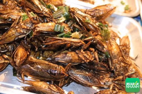 Trong trăm loại món ăn đồng quê, cà niễng rang có hương vị riêng, không lẫn với bất cứ món nào.