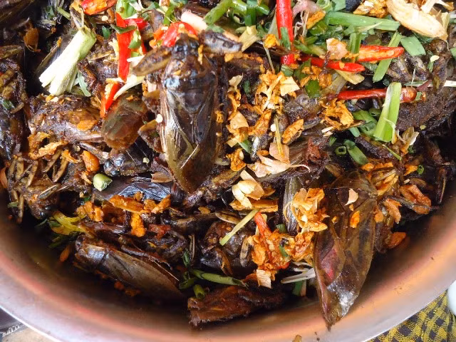 Cà niễng mang về cần vặt hết chân, bỏ cánh, moi bụng rồi rửa sạch, để cho khô nước. Tiếp đó, đầu bếp chỉ cần rang lên, nêm mắm muối vừa phải là đã thành một món ăn đồng quê đích thực. Có người sành ăn hơn, nhất thiết yêu cầu món ăn phải được thêm vào chút nước muối cà.