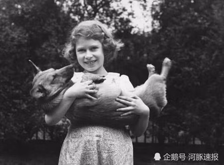 Bup be cu ky, den dua nhung lai co gia tri tien ty vi ly do nay-Hinh-3