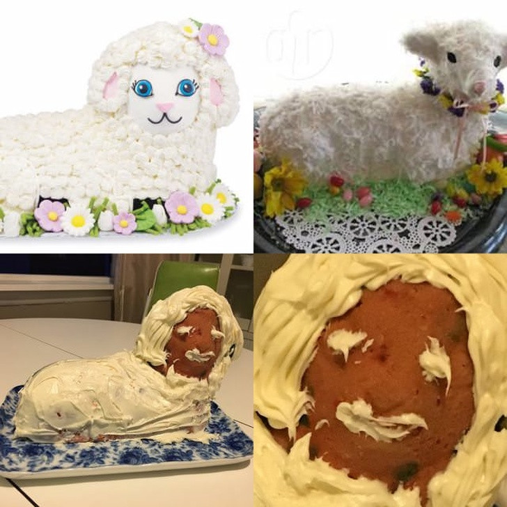 Khi bạn muốn làm một chiếc bánh con cừu nhưng kết quả thật thảm họa.