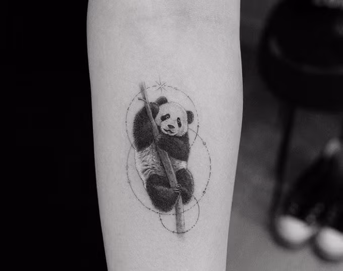 24 hinh xam dong vat khien cac 