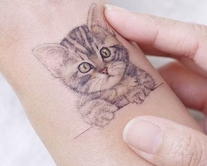 24 hinh xam dong vat khien cac 