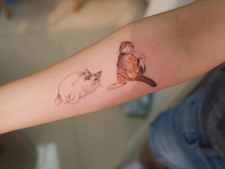 Những dáng vẻ thường ngày của các "boss".