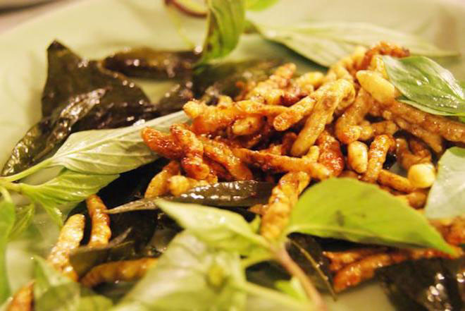 Người đồng bào bắt sâu bằng cách chẻ đôi thân cây chít ra, sâu chít có đặc điểm là trắng sữa, căng mọng, rất ngon lành, sau đó đem về thả trong chậu rượu nhạt, loại rượu này sẽ giúp cho sâu không bị biến đổi, sau đó được ngâm làm rượu hoặc cũng có thể đem nấu cháo. Ảnh: Zing.