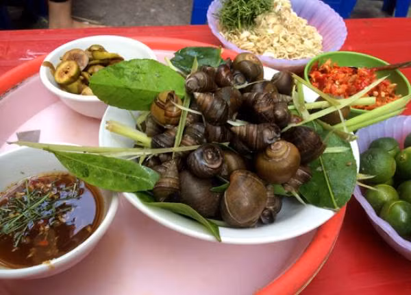 Thời tiết càng lạnh, người ta càng thích rủ nhau “chui” vào một quán ốc nóng ven đường, lẩy từng con ốc béo tròn ra chấm mắm để hít hà, xuýt xoa vị cay nồng thơm mùi sả ớt rất đặc trưng.