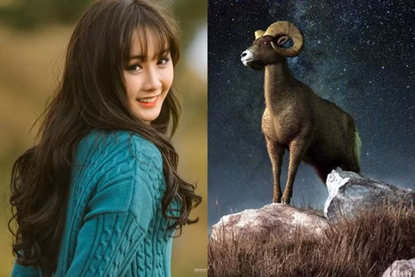 Top 3 con giap trung dam, giau co het phan thien ha-Hinh-3