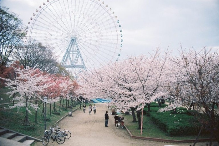 View - Loạt điểm đến cực kỳ sang chảnh chẳng tốn kém như bạn tưởng | Báo Tri thức và Cuộc sống - TIN TỨC PHỔ BIẾN KIẾN THỨC 24H