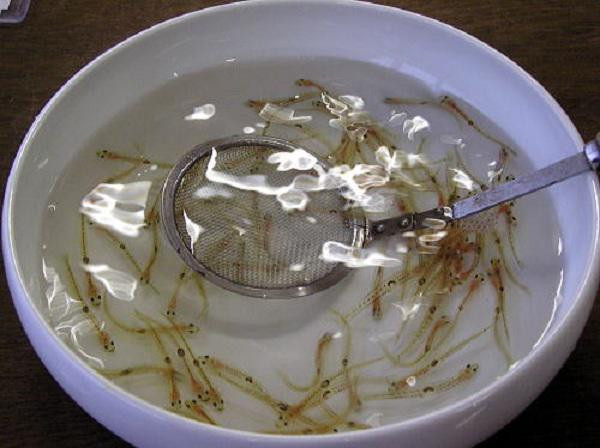 Shirouo, một loại cá nhỏ trong suốt của Nhật Bản. Cách trình bày của món này là bỏ cá vào cốc giấm cùng trứng, thực khách sẽ thưởng thức bằng cách uống cả hỗn hợp.