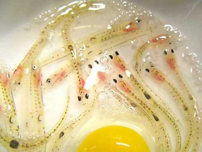 Nếu muốn trải nghiệm thú vị với món ăn này, thực khách thường lưu chúng khoảng 30 giây để cảm nhận những chú cá "nhảy múa" trong miệng.