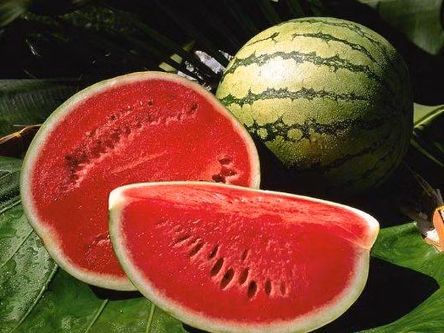 Dưa hấu: Theo nghiên cứu, dưa hấu sẽ mất một số chất chống oxy hóa như lycopene và beta-carotene khi bảo quản trong tủ lạnh. Bạn hãy đặt dưa hấu trên bàn ở nhiệt độ phòng để duy trì các chất chống oxy hóa này.