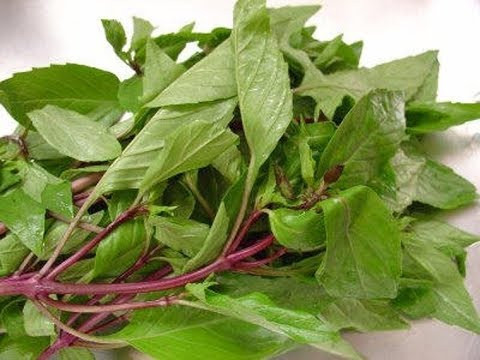 Húng quế: Các loại rau thơm như húng quế, ngò thơm có tính chất hấp thụ các mùi xung quanh khiến chúng không còn mùi vị như lúc ban đầu. Bên cạnh đó, những loại rau này cũng dễ héo và khô khi để trong tủ lạnh.