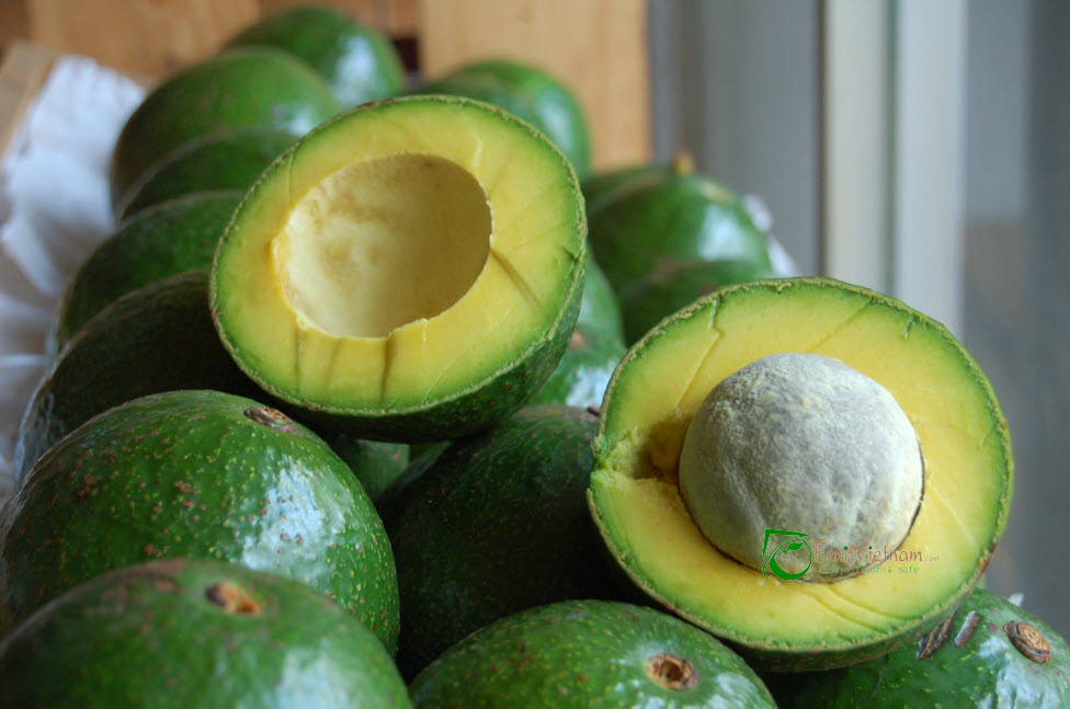 Quả bơ: Khi mua bơ, bạn nên chọn những quả bơ cứng, chắc và để chúng tự chín dần theo thời gian. Tuy nhiên, đối với loại bơ này nếu tích trữ trong tủ lạnh, bơ sẽ lâu chín và giảm hương vị vốn có của nó. Bơ sẽ rắn lại và không còn vị ngon, bùi như những quả bơ được bảo quản ở nhiệt độ phòng và ăn ngay khi chín.