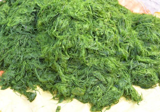 Nhắc tới loại rêu mọc trên đá, có lẽ không ai nghĩ rằng đây có thể là món đặc sản quý giá của người dân tộc Thái. Thế nhưng, loại rêu đá lại là đặc sản chỉ có ở vùng Tây Bắc, rêu thường bám vào các gờ đá nơi lòng suối.