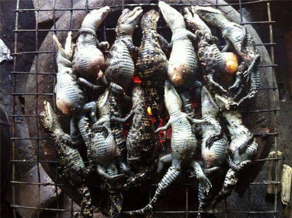 Cá sấu nướng than hoa thơm nức mũi nhưng không phải ai cũng dám ăn.