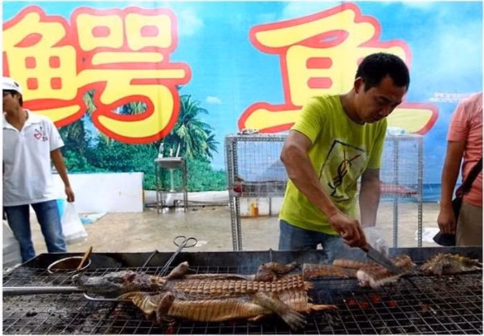 Theo lời đầu bếp, thịt cá sấu nướng rất bổ dưỡng và thơm.