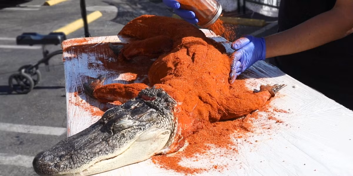 Trước khi đem nướng, toàn bộ phần thân cá sấu sẽ được lột sạch da và ướp với loại bột khô có màu đỏ tươi, nhìn khá giống bột ớt, thế nhưng loại bột này sẽ có vị cay ngọt. Ướp cho thật thấm rồi mang đi nướng trong vòng 5 tiếng đồng hồ. 