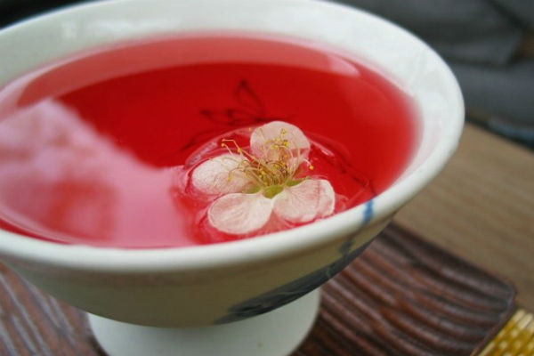 Trà Omija: Tên trà omija, có nghĩa là “năm hương vị berry”. Sở dĩ có tên gọi như vậy bởi khi uống omija bạn có thể cảm nhận được năm hương vị: ngọt, chua, mặn, đắng và cay của trái berry. Tại Hàn Quốc, trái berry thường được dùng để chế biến thành trà cùng với mật ong, cánh hoa và bột đậu xanh.