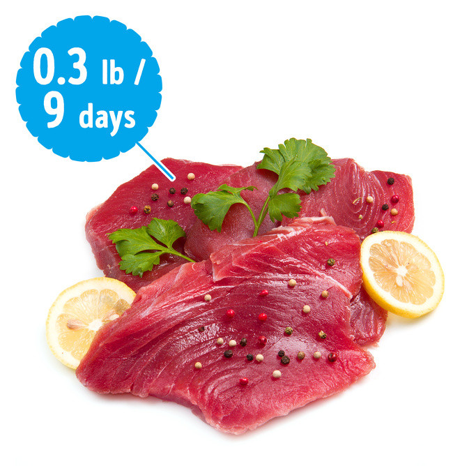 Cá ngừ dù tươi sống, chín hay đóng hộp đều chứa thủy ngân. Lượng thủy ngân được tìm thấy ở trong cá ngừ không nhiều nhưng nếu tiêu thụ cá ngừ với số lượng lớn, cơ thể sẽ tích tụ dần dẫn đến ngộ độc.