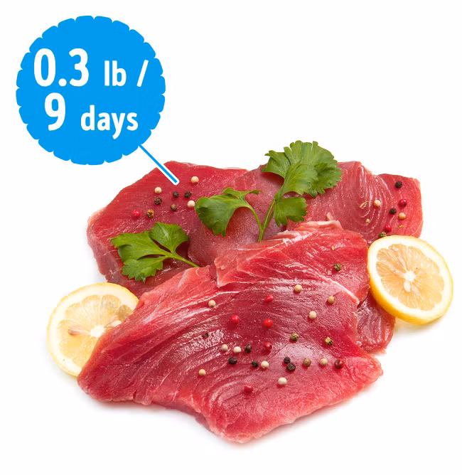 Cá ngừ dù tươi sống, chín hay đóng hộp đều chứa thủy ngân. Lượng thủy ngân được tìm thấy ở trong cá ngừ không nhiều nhưng nếu tiêu thụ cá ngừ với số lượng lớn, cơ thể sẽ tích tụ dần dẫn đến ngộ độc.