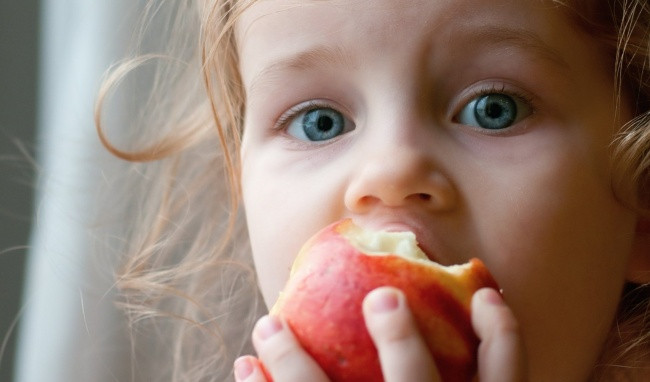 Táo là một trong những loại quả cực tốt đối với sức khỏe con người. Trong táo có chứa những thành phần dinh dưỡng phong phú, đặc biệt là các loại vi chất, sinh tố, vitamin và axít hoa quả.