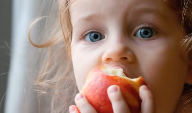 Táo là một trong những loại quả cực tốt đối với sức khỏe con người. Trong táo có chứa những thành phần dinh dưỡng phong phú, đặc biệt là các loại vi chất, sinh tố, vitamin và axít hoa quả.