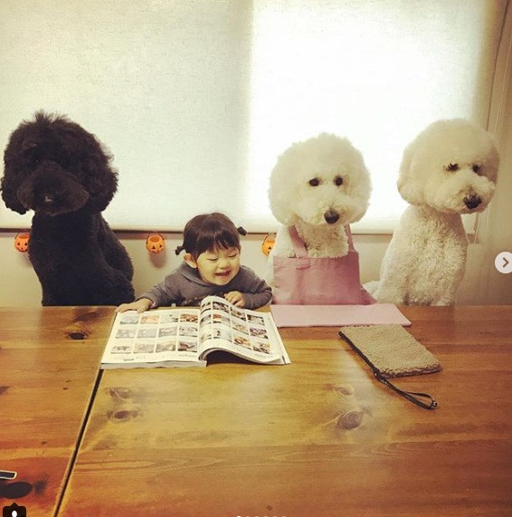 Hiện tại, trang Instagram của bà ngoại Mame đã đạt đến hơn 450.000 lượt theo dõi.